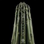 天空のアスパラガス Premium 約 1kg