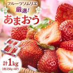 福岡産 あまおう4パック あまおう 博多