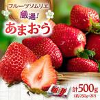 福岡産 あまおう 2パック