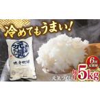 福岡産ブランド米 元気つくし5kg 南国フルーツ株式会社