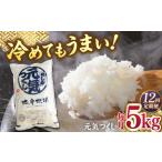 福岡産ブランド米 元気つくし5kg 南国フルーツ株式会社
