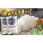 福岡産ブランド米 元気つくし5kg×2袋
