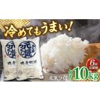 福岡産ブランド米 元気つくし5kg×2袋