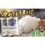 福岡産ブランド米 元気つくし5kg×2袋