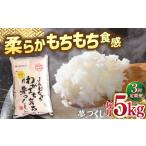 福岡産ブランド米 夢つくし5kg 南国フルーツ株式会社