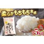 福岡産ブランド米 夢つくし5kg 南国フルーツ株式会社