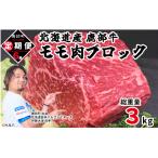 牛モモ肉 ブロック 500g