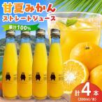S162-002_甘夏みかんストレートジュース