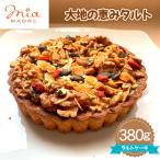 大地の恵みタルト380g No.437