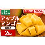 ふるさと納税 【先行受付】【2025年発送】JAおきなわの産直アップルマンゴー約2kg【ご家庭用・白箱】 沖縄県八重瀬町