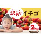 ふるさと納税 ≪先行予約≫ 訳ありイチゴ 約2kg 【ジャム用】 (約250g×8パック) 詰め合わせ イチゴ いちご 苺 愛知県豊橋市