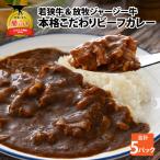 カレー 若狭牛 ジャージー牛 ビーフカレー 5パック