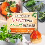 いちご狩り ハーブ摘み体験 招待券 BIBY011