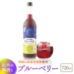 紀州の梅酒とブルーベリー 720ml
