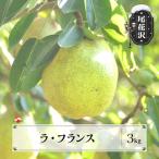 ラフランス 約3kg