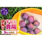 ふるさと納税 【訳あり】童夢のすもも「貴陽」化粧箱 9玉（約1.35〜1.7kg）【2026年発送】（DOM）A07-141 すもも フルーツ 山梨県甲州市