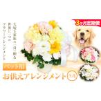 ★3ヶ月定期便★ 花 椿原園 ペット用 お供え
