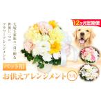 ★12ヶ月定期便★ 花 椿原園 ペット用 お供え