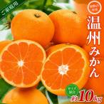 みかん 森本農園 約10kg
