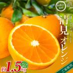 森本農園の手選別 清見オレンジ 約1.5kg