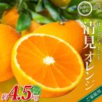森本農園の手選別 清見オレンジ 約4.5kg