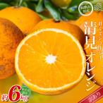 みかん 清見オレンジ 約6kg
