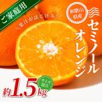 セミノールオレンジ 約1.5kg