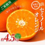 セミノールオレンジ 約4.5kg