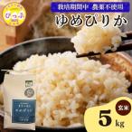 令和7年産 今野農園 ゆめぴりか 玄米 5kg