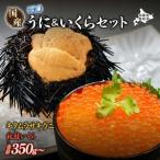 登別近海産 冷凍 キタムラサキウニ 200g