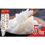 ショッピングふるさと納税 先行予約 ふるさと納税 【令和8年】  先行予約　近江米『コシヒカリ』　特別栽培米　5キロ（鮮度保持袋） 滋賀県守山市