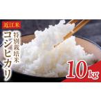 令和8年度産 近江米 コシヒカリ 10kg