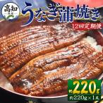 うなぎ 定期便 全12回 Wfb-0060