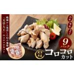 天草大王 コロコロカット 9セット