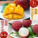 完熟マンゴーと生ライチのセット マンゴー