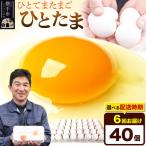 ひとたま 40個