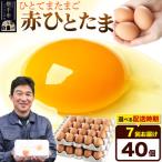 赤ひとたま 40個