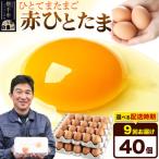 赤ひとたま 40個
