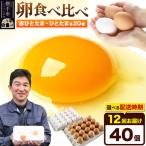 赤ひとたま 20個
