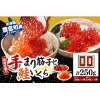 ふるさと納税 佐藤水産　【豊富産�