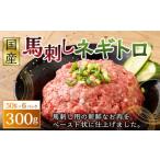 ふるさと納税 【フジチク】馬刺し ネギトロ 50g×6パック 合計300g 馬肉 馬刺し 馬刺 ネギトロ トロ タレ付き 肉 お肉 冷凍 熊本県 上天草.. 熊本県上天草市