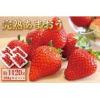 ふるさと納税 【2026年3月出荷予定】完熟 あまおう イチゴ 280g×4パック(約1120g)＜配送不可：北海道、沖縄県、離島＞ 福岡県大川市