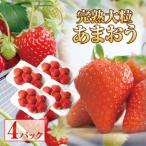 完熟 大粒 あまおう イチゴ 280g×4パック