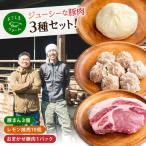惣菜 豚まん 瀬戸田のレモン焼売 おまかせ豚肉セット 各1パ…