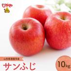 りんご サンふじ 10kg
