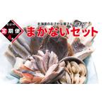 訳ありのおさかな屋さんのまかないセット