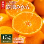 露地みかん 2S M サイズ 15kg
