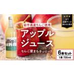 果汁100%りんごジュース 720ml×6本