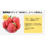 ブランドいちご あまおう 2パック計560g★あんずの里