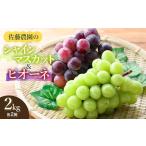ふるさと納税 【令和8年産先行予約】 シャインマスカット・ピオーネ (各2房ずつ) 約2kg　佐藤農園 山形県鶴岡市